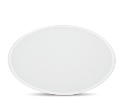 Frisbee Spinner