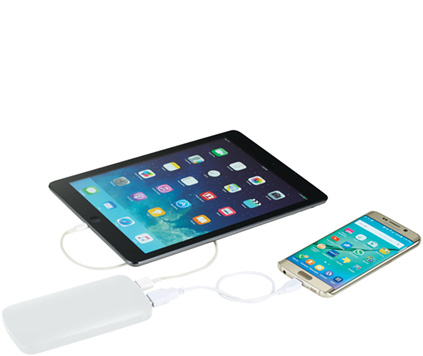 Powerbank Zippy