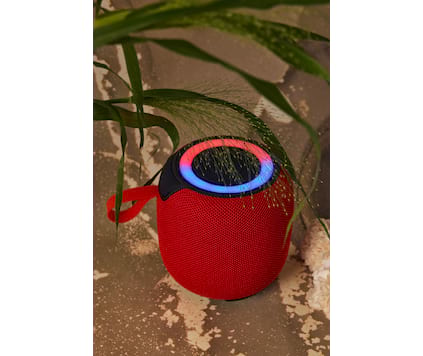 Högtalare EchoWave